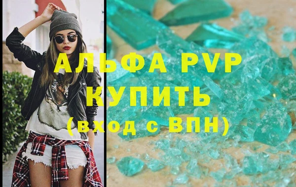 крисы Баксан