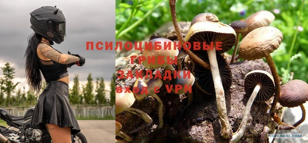 крисы Баксан