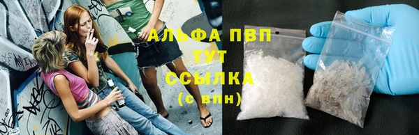 крисы Баксан