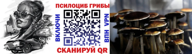 наркошоп  Сланцы  Галлюциногенные грибы GOLDEN TEACHER 